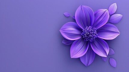 Fototapeta premium flower, pink, nature, beauty, flowers, spring, daisy, plant, bloom, flora, isolated, summer, blossom, purple, floral, petal, chrysanthemum, garden, petals, bouquet, beautiful, macro, color, closeup, d