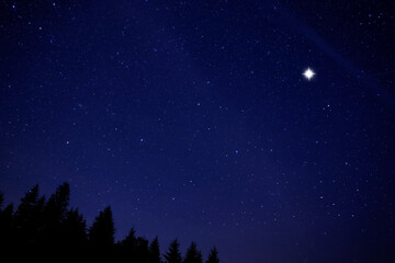 Countless twinkling stars in night sky over forest