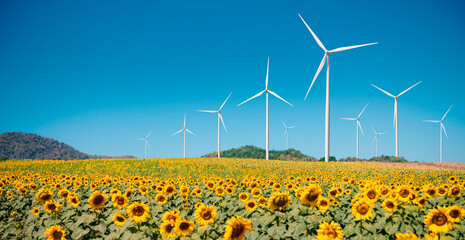 sunflower field and electric wind turbine generator on blue sky.technology for new generation of...