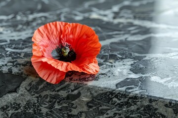 Honoring the brave  close up of a red poppy on war memorial in remembrance of fallen heroes