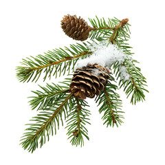 christmas tree branch with snow