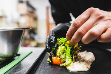 Close-up of a chef’s hands delicately plating a gourmet salad with vibrant greens and colorful vegetables, showcasing culinary artistry and fresh ingredients