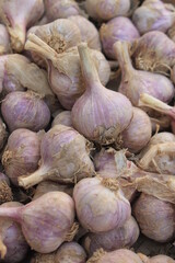A bunch of garlic in tampah

