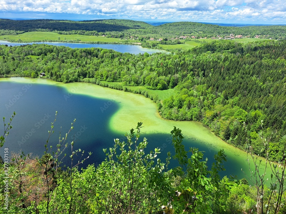 Wall mural lake in the forest