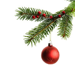 christmas tree branch with ball