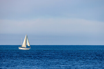Fototapeta premium A sailing boat in the sea with the Pacific Ocean, seabird, blue sky and cloud background, along the coastal Otago near Dunedin, in the South Island, New Zealand