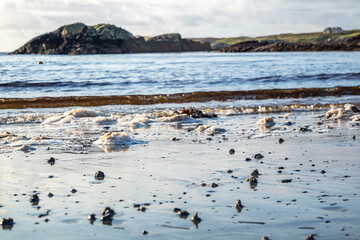 Blow lugworm poo on the west coast of Ireland - Arenicola Marina