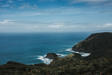 Standing by the seaside