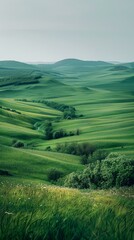 Green rolling hills of Tuscany, Italy