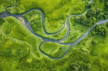 Aerial view of green meadows with winding rivers, forming an intricate pattern in the center of frame