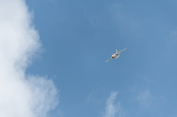 Old jet plan performing a display.