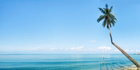 Coconut palm tree with sand beach and sea background, tropical island