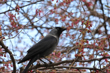 Very beautiful pink colorful background. Negative space.