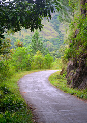 Rural road through natural setting with a mountain in a background