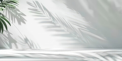 white empty room with shadow plant on white wall, empty white marble stone counter table top with shadow , white stucco cement luxury wall for product display presentation