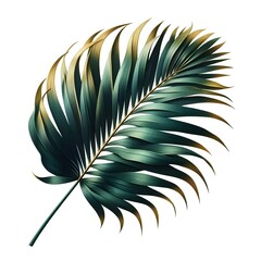 Fototapeta premium green palm leaf cut out white background beautiful pic