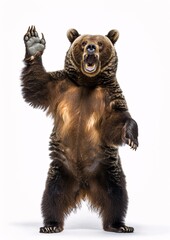 Obraz premium Standing Grizzly Bear