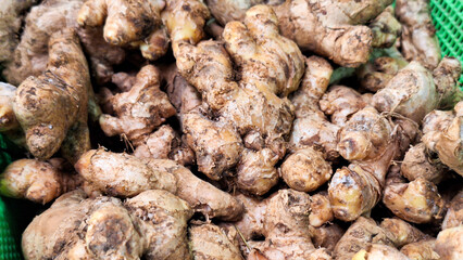 Fresh ginger displayed and sold in traditional markets.
