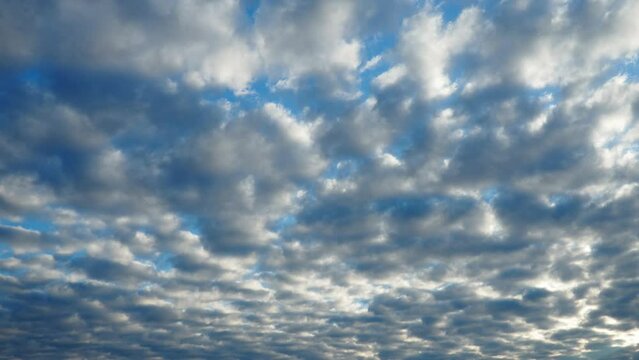 Altocumulus, middle-altitude cloud genus, stratocumuliform physical category, characterized by globular masses or rolls in layers or patches being larger and darker. Airmass instability. Time lapse.