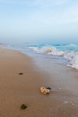pebble in the sand, Praia de Chaves, Boa Vista, Cape Verde