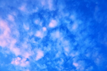 空高く浮かぶ雲