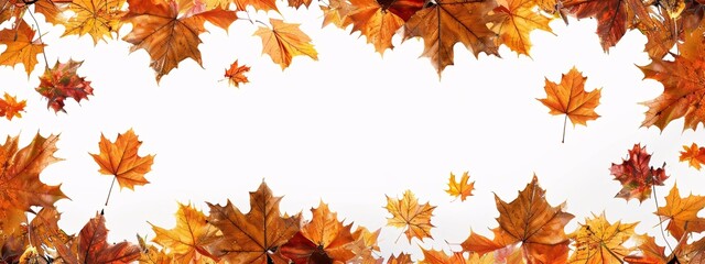 Obraz premium Autumnal Scenery with Fall Leaves