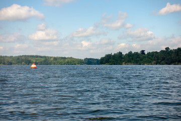 Enten auf dem M&ouml;hnesee