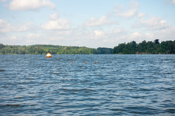 Enten auf dem Möhnesee © Lu