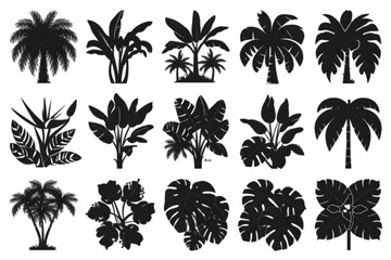 Vector Silhouettes of Tropical Plant Species: A Detailed Series Showcasing Exotic Foliage in Various Shapes and Sizes, Isolated on White