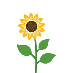 Sunflower icon in flat style. Flora vector illustration on isolated background. Sunflower sign business concept.