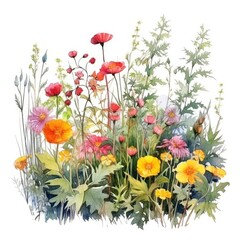 Watercolor illustration beautiful garden and plants.