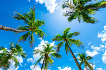 Fototapeta premium Tropical palm trees against a background of blue sky and bright sun