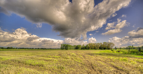 Big clouds formations passing over a pastoral landscape in The Netherlands.