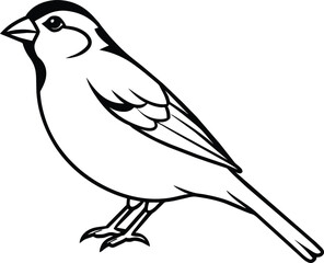 Sparrow silhouette vector illustration.
