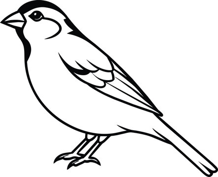 recommend clip art: Sparrow silhouette vector illustration.