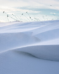 Snow-Covered Field with Windblown Grass