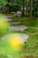 鎌倉245　浄智寺9　新緑