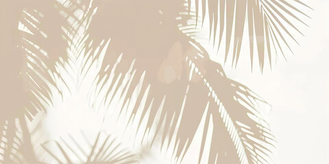 palm tree shadows on white background, tropical leave shadows on beige background, banner
