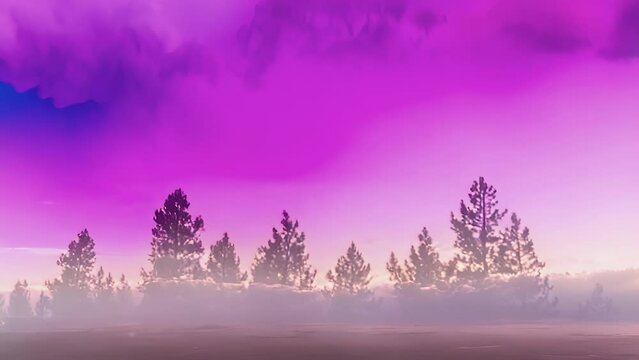 An otherworldly scene with ethereal nacreous clouds floating above a silhouette of trees.