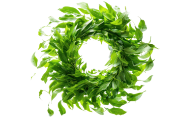 fresh green leaves, their veins intricately etched, cascading down a sun-dappled forest path, creating a mesmerizing spectacle of nature's artistry.Isolated on white background.