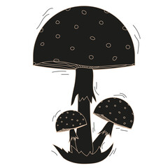 Cordel style Toadstool family isolated transparent background. Trendy Woodcut Hand Drawn Mushroom on white. Linocut vector design can used t-shirt print, card cover. Editable stroke