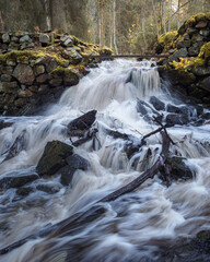 Rushing Creek Over Rocks in Forest