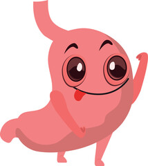 This is a cartoon of a human stomach.