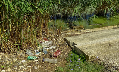 Wildlife plastic pollution, garbage and propylene bottles on the shore of the lake