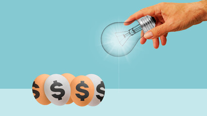 Business incubator. Investment Diversification and risk management. Collage with eggs with dollar sign and the lamp