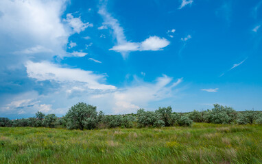White clouds over the Blooming Steppe near the Tiligul estuary, Ukraine