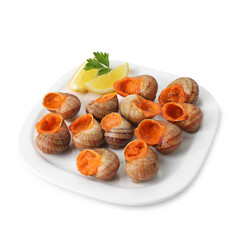 Delicious cooked snails with lemon and parsley isolated on white