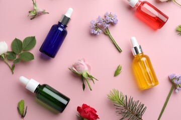 Aromatherapy. Different essential oils, flowers and fir twigs on pink background, flat lay