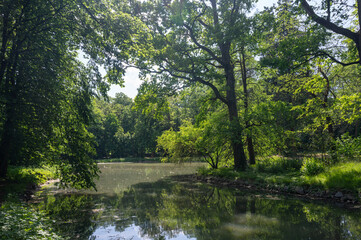 A lake in green nature with trees