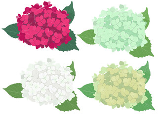 紫陽花4色セット（A）
